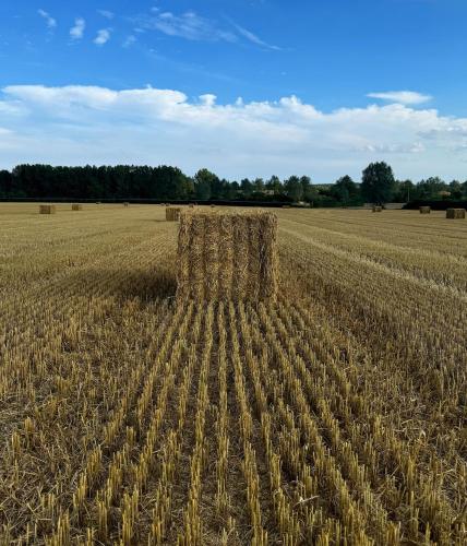 佩蘭波斯 The Old Stable 3星级 单人房 设施