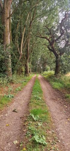 佩蘭波斯 The Old Stable 3星级 单人房 客房