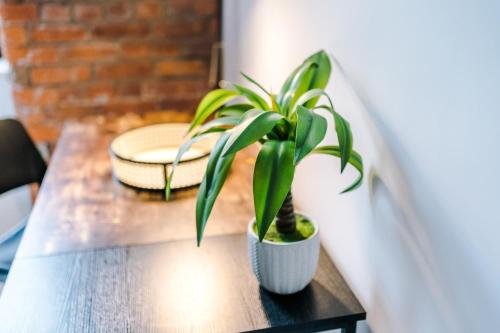 Converted Mill, Stylish Apartment in Castlefield, Manchester (fotografie 7)