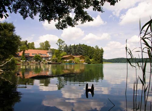 Romantischer Seegasthof & Hotel Altes Zollhaus in Feldberg, Deutschland