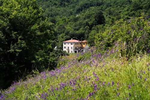  CasaMilleNoveCento, Pension in Pontremoli bei Pontremoli