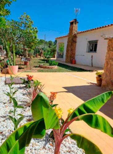 Buganvilla gîte à louer Maimona