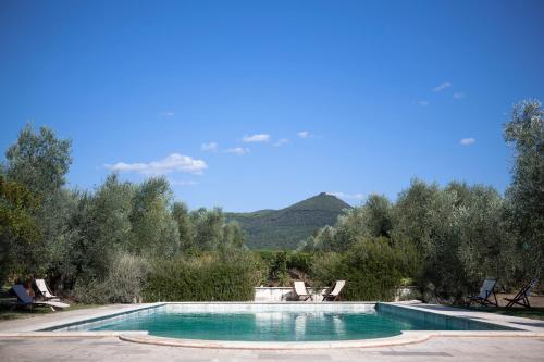  Agriturismo Tra gli Ulivi, Chiappini Winery in Bolgheri