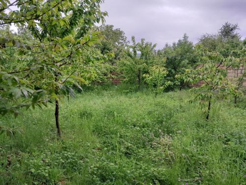 Quba Cozy House in Amsar