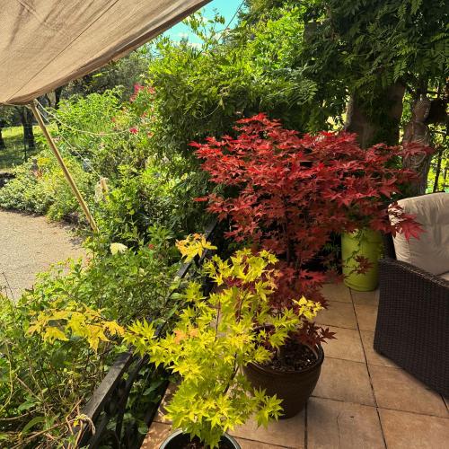 maison fleurie in แซ็ง-แฌร์แม็ง