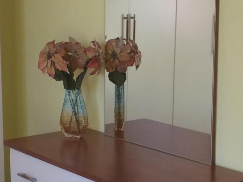 Friends House, Tirana (photo 10)