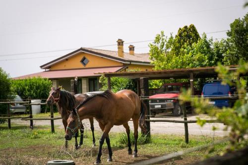 Agriturismo L.B.STUD - image 14