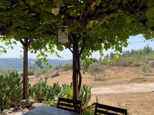 Kilátás, Quinta do Sobral de São Geraldo (Quinta do Sobral de Sao Geraldo) in Tabua