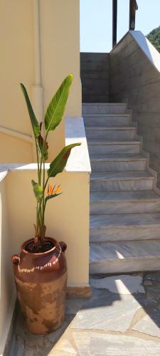 Tsonos Apartments – Keramidi, TN