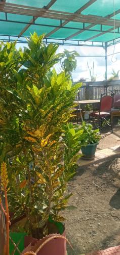 royal villas in Thika