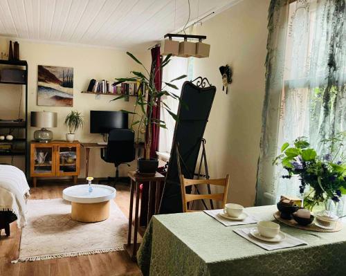 Vintage Studio Apartment, Tallinn (photo 8)