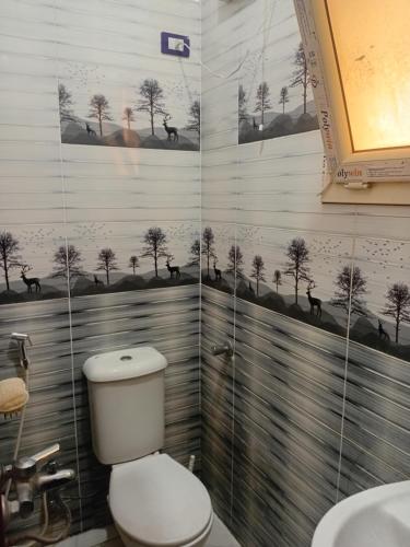 Shaban in Bani Sweif