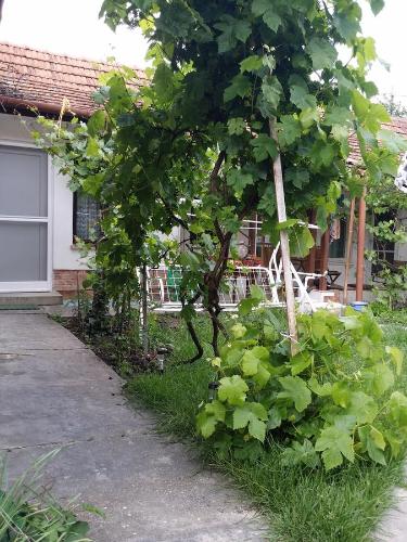 ทัศนียภาพภายนอกโรงแรม, Boris Apartman in กียูลา