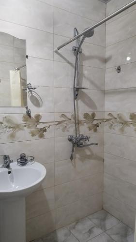 kojori green house in Kojori