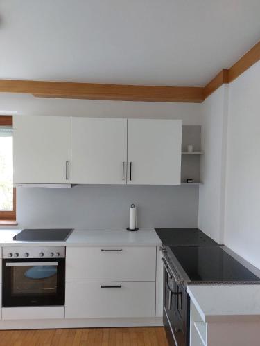Appartement Wintergarten in Seenähe (Appartement Wintergarten in Seenahe) in 費希滕