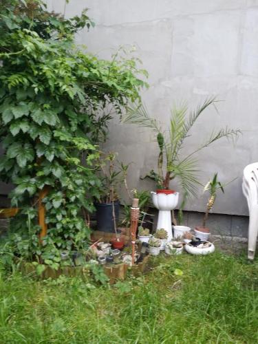 ทัศนียภาพภายนอกโรงแรม, Boris Apartman in กียูลา
