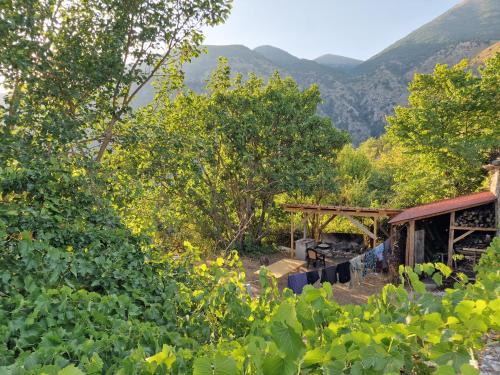 Zhulat Ecovillage - Guesthouse in Fushëbardhë