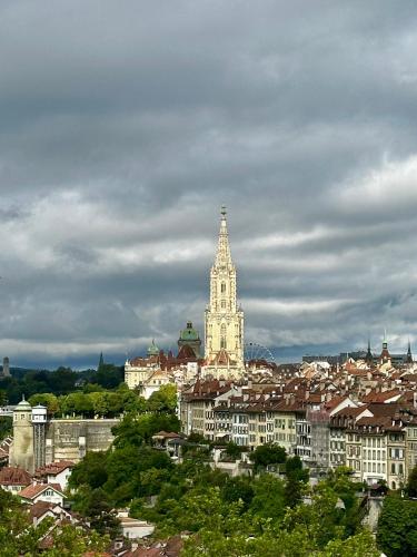 Bears View BB, Berna (foto 8)