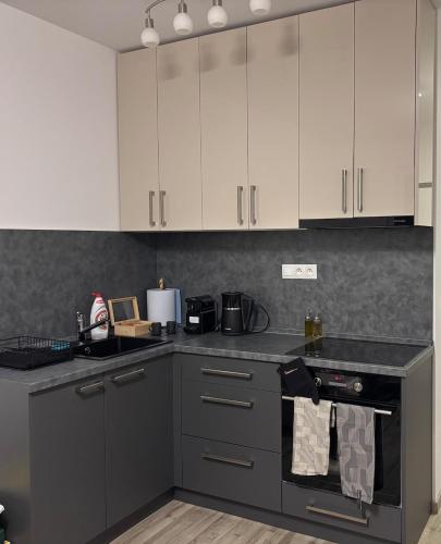 Apartment Tamara - Slnecnice, Bratislava (photo 7)