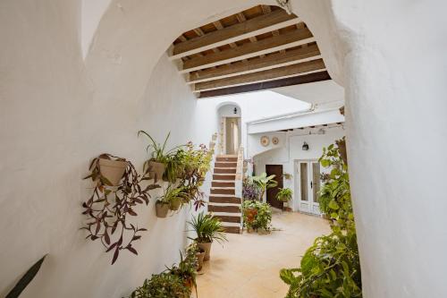 Casa Bodega Triana - main image