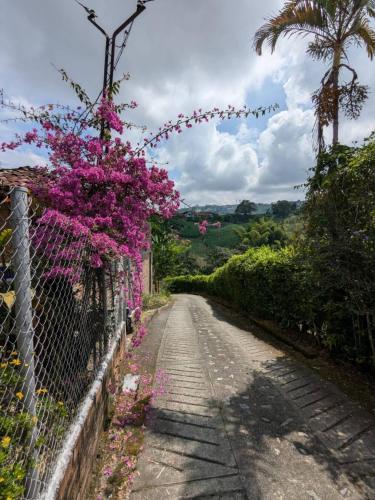Dārzs, El descanso perfecto in Chinchina