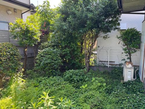 Setagaya-ku - Apartment - Vacation STAY 19615の設備