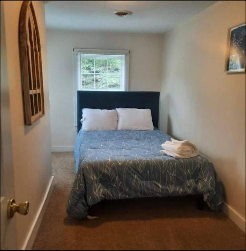 Stylish And Convenient With Wifi & Fenced Yard in Charlottesville, USA