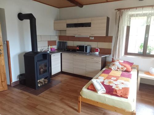 Apartmán Na Kopečku - žlutý pokoj (Apartman Na Kopecku - zluty pokoj) in Horní Paseka