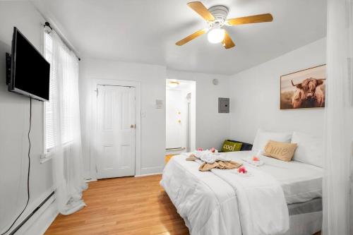 Prime Studio Near Attractions In Center City in Philadelphia, USA