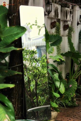 Homestay Co Gai Viet - Cần Thơ