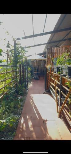 Hoa Cau HoiAn