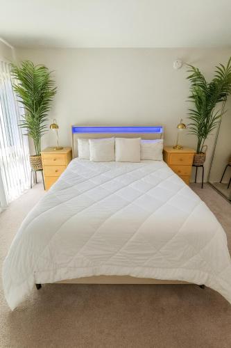 2 Bedroom Apartment at Mountain Resort in Hollywood Hills next to Universal Studios and Warner Brother Studios