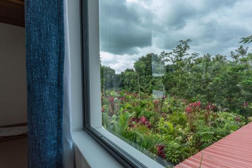 ทัศนียภาพ, Sweet Dreams the Arenal in ฟอร์ตูนา