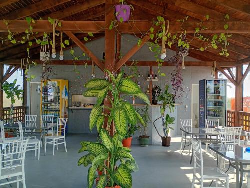 Casa din Deal in Konstanca