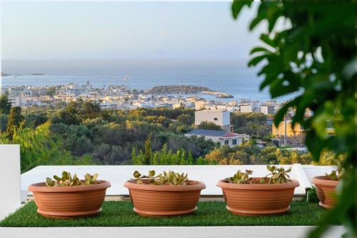 More Crete Village House in Koutouloufari - 6 guests - Pool 2