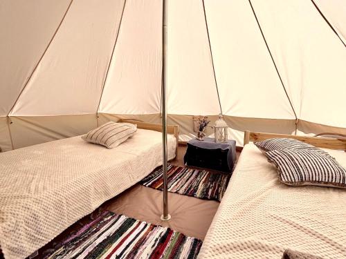 Ploomi Glämping (Ploomi Glamping) in Vahtselīna