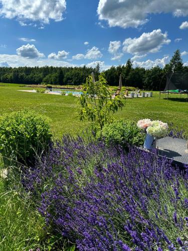 Nowy domek z podgrzewanym basenem na wyłączność