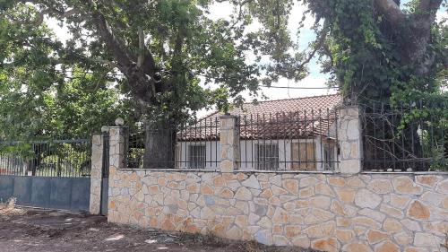 Plane Tree Cottage for Nature Lovers- Free RV & Campervan Parking