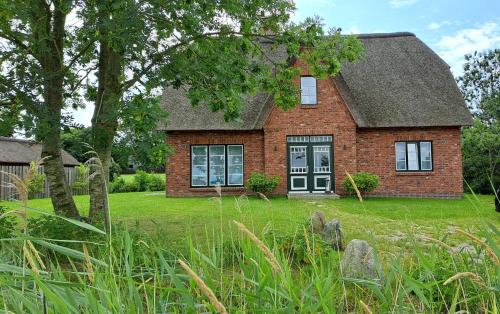 Möwen-Nest in Tönning, Deutschland
