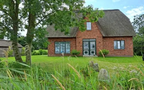Möwen-Nest in Tönning, Deutschland