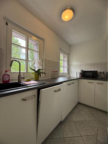 Modernes Familienapartment mit Parkplatz nahe Großer Garten, Drážďany (fotografie 9)