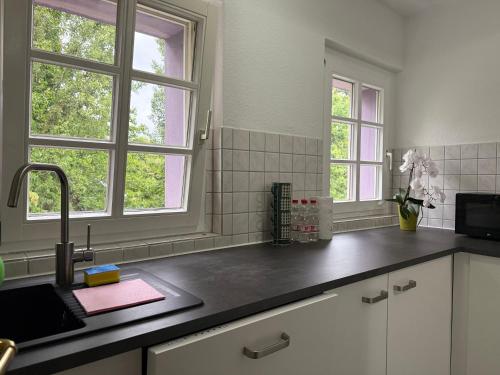 Modernes Familienapartment mit Parkplatz nahe Großer Garten, Drážďany (fotografie 10)
