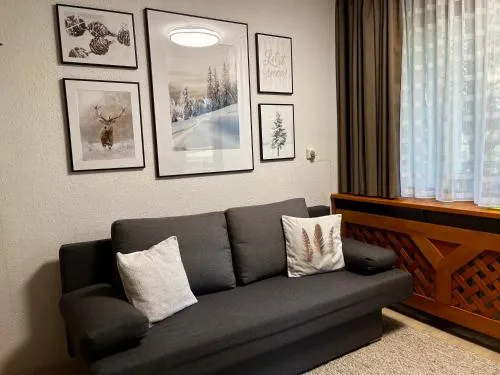 Winterwohnung Almberg in Mitterfirmiansreut, Deutschland