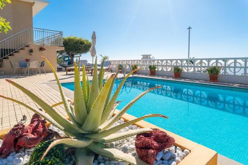 Casa Aloe - La Palma