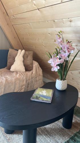 chalet laguiole-aubrac in Laguiole