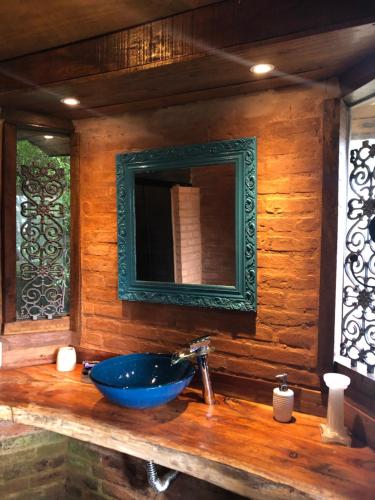 Pinot noir in Delfim Moreira