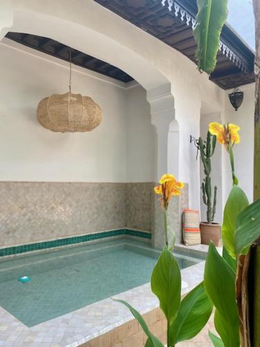 Foto - Riad Dar Balthazar