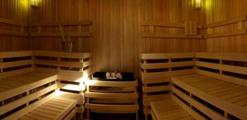 Sauna, Del Sauco Apart & Spa in San Martin De Los Andes