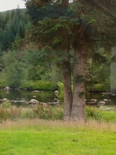 River Black Water inn in Inchbae Lodge