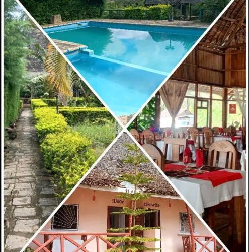 Analamazaotra hotel in Andasibe